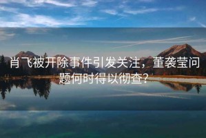 肖飛被開(kāi)除事件引發(fā)關(guān)注，董襲瑩問(wèn)題何時(shí)得以徹查？