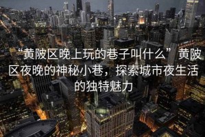 “黃陂區晚上玩的巷子叫什么”黃陂區夜晚的神秘小巷，探索城市夜生活的獨特魅力