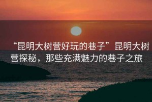 “昆明大樹營好玩的巷子”昆明大樹營探秘，那些充滿魅力的巷子之旅