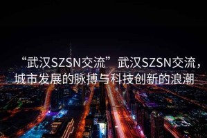 “武漢SZSN交流”武漢SZSN交流，城市發展的脈搏與科技創新的浪潮