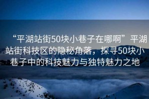 “平湖站街50塊小巷子在哪啊”平湖站街科技區的隱秘角落，探尋50塊小巷子中的科技魅力與獨特魅力之地