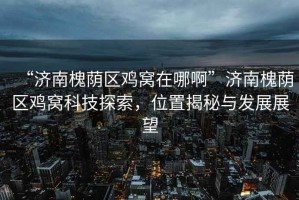“濟南槐蔭區雞窩在哪啊”濟南槐蔭區雞窩科技探索，位置揭秘與發展展望