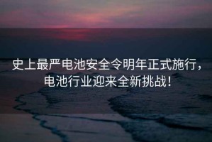 史上最嚴(yán)電池安全令明年正式施行，電池行業(yè)迎來全新挑戰(zhàn)！