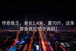 傳奇魚王，身長1.4米、重70斤，這條草魚竟已55歲高齡！