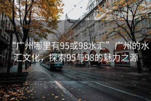 “廣州哪里有95或98水匯”廣州的水匯文化，探索95與98的魅力之源