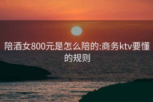 陪酒女800元是怎么陪的:商務ktv要懂的規則