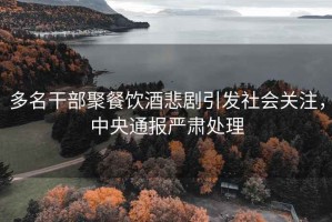 多名干部聚餐飲酒悲劇引發(fā)社會關(guān)注，中央通報嚴(yán)肅處理
