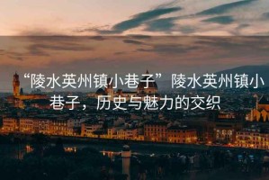 “陵水英州鎮小巷子”陵水英州鎮小巷子，歷史與魅力的交織