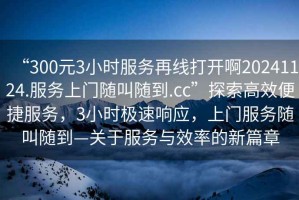“300元3小時服務再線打開啊20241124.服務上門隨叫隨到.cc”探索高效便捷服務，3小時極速響應，上門服務隨叫隨到—關于服務與效率的新篇章