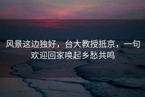 風景這邊獨好，臺大教授抵京，一句歡迎回家喚起鄉愁共鳴