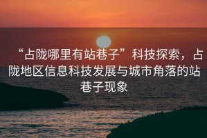 “占隴哪里有站巷子”科技探索，占隴地區(qū)信息科技發(fā)展與城市角落的站巷子現(xiàn)象