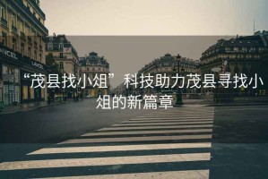 “茂縣找小俎”科技助力茂縣尋找小俎的新篇章