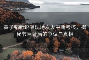 黃子韜新說唱現場發火中斷考核，揭秘節目背后的爭議與真相