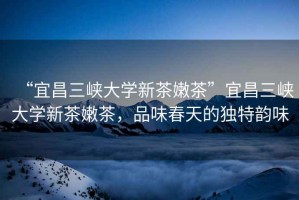 “宜昌三峽大學新茶嫩茶”宜昌三峽大學新茶嫩茶，品味春天的獨特韻味