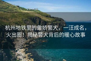 杭州地鐵里的傲嬌警犬，一汪成名，火出圈！揭秘警犬背后的暖心故事