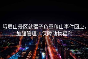 峨眉山景區就騾子負重爬山事件回應，加強管理，保障動物福利