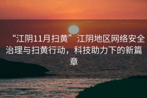 “江陰11月掃黃”江陰地區網絡安全治理與掃黃行動，科技助力下的新篇章