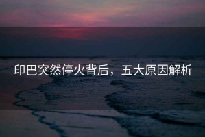 印巴突然停火背后，五大原因解析