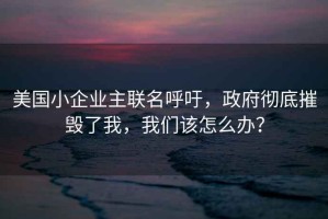 美國小企業主聯名呼吁，政府徹底摧毀了我，我們該怎么辦？