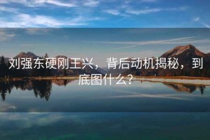 劉強(qiáng)東硬剛王興，背后動機(jī)揭秘，到底圖什么？