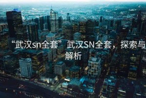 “武漢sn全套”武漢SN全套，探索與解析