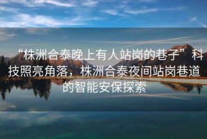 “株洲合泰晚上有人站崗的巷子”科技照亮角落，株洲合泰夜間站崗巷道的智能安保探索