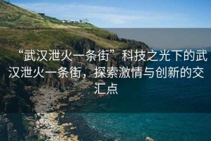 “武漢泄火一條街”科技之光下的武漢泄火一條街，探索激情與創新的交匯點