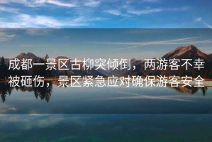 成都一景區古柳突傾倒，兩游客不幸被砸傷，景區緊急應對確保游客安全