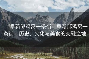 “阜新邱雞窩一條街”阜新邱雞窩一條街，歷史、文化與美食的交融之地
