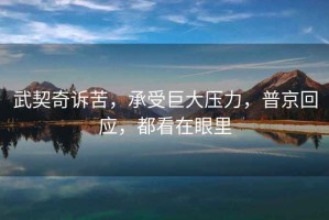 武契奇訴苦，承受巨大壓力，普京回應，都看在眼里