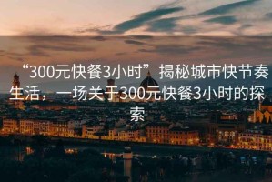 “300元快餐3小時”揭秘城市快節奏生活，一場關于300元快餐3小時的探索