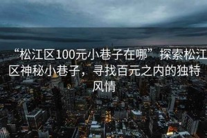 “松江區100元小巷子在哪”探索松江區神秘小巷子，尋找百元之內的獨特風情