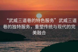 “武威三道巷的特色服務(wù)”武威三道巷的獨(dú)特服務(wù)，重塑傳統(tǒng)與現(xiàn)代的完美融合