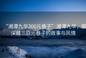 “湘潭九華300元巷子”湘潭九華，那深藏三百元巷子的故事與風(fēng)情