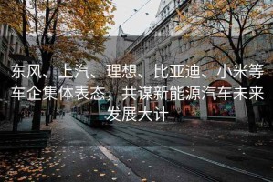 東風、上汽、理想、比亞迪、小米等車企集體表態，共謀新能源汽車未來發展大計