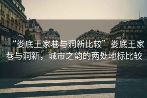 “婁底王家巷與洞新比較”婁底王家巷與洞新，城市之韻的兩處地標比較