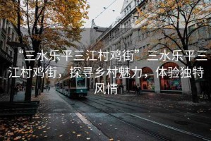 “三水樂平三江村雞街”三水樂平三江村雞街，探尋鄉(xiāng)村魅力，體驗(yàn)獨(dú)特風(fēng)情