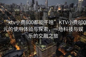 “ktv小費800都能干啥”KTV小費800元的使用體驗與探索，一場科技與娛樂的交融之旅