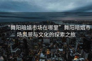 “舞陽暗娼市場在哪里”舞陽暗娼市場風景與文化的探索之旅