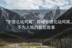 “寧德北站雞窩”揭秘寧德北站雞窩，不為人知的背后故事