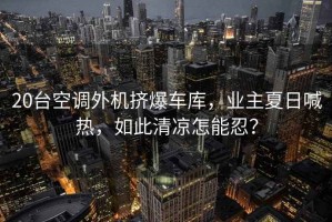 20臺空調(diào)外機擠爆車庫，業(yè)主夏日喊熱，如此清涼怎能忍？