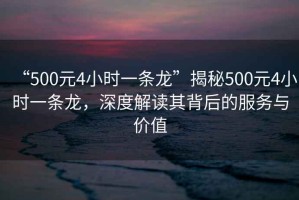 “500元4小時一條龍”揭秘500元4小時一條龍，深度解讀其背后的服務與價值