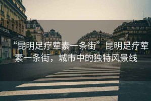 “昆明足療葷素一條街”昆明足療葷素一條街，城市中的獨特風景線