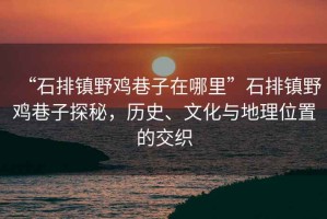 “石排鎮野雞巷子在哪里”石排鎮野雞巷子探秘，歷史、文化與地理位置的交織
