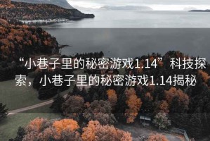 “小巷子里的秘密游戲1.14”科技探索，小巷子里的秘密游戲1.14揭秘