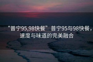 “普寧95,98快餐”普寧95與98快餐，速度與味道的完美融合