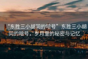“東勝三小胡同的暗號”東勝三小胡同的暗號，歲月里的秘密與記憶