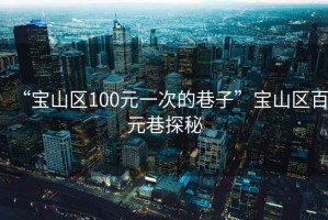 “寶山區100元一次的巷子”寶山區百元巷探秘
