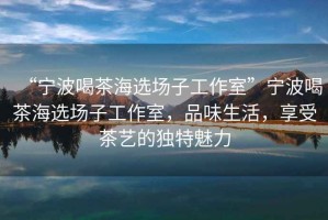 “寧波喝茶海選場子工作室”寧波喝茶海選場子工作室，品味生活，享受茶藝的獨特魅力