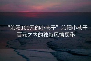 “沁陽100元的小巷子”沁陽小巷子，百元之內的獨特風情探秘